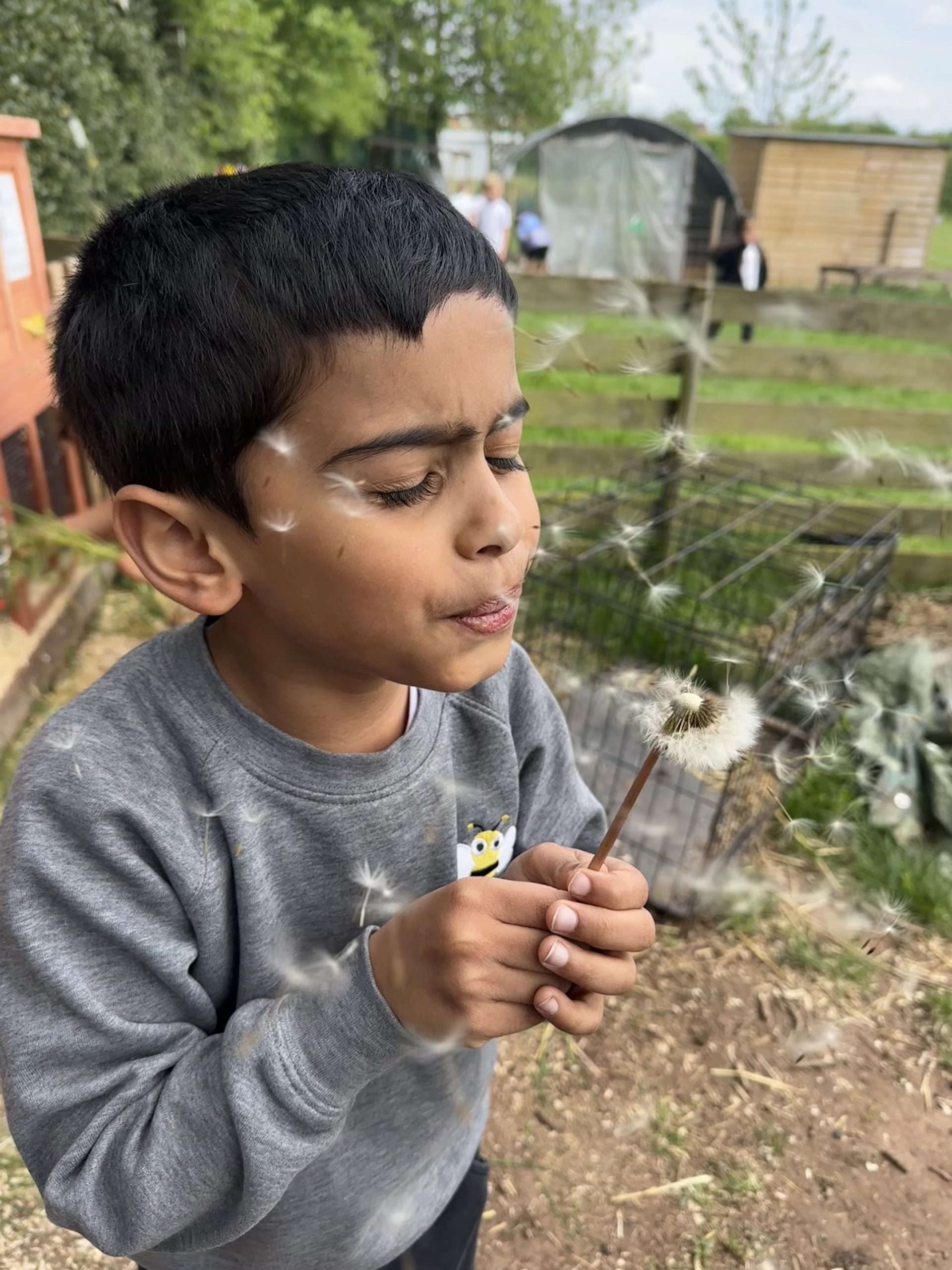 Longlands Primary School outdoor learning